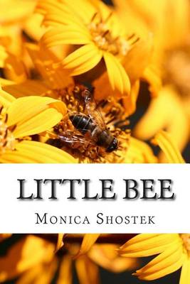 Book cover for Little bee