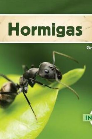 Cover of Hormigas (Ants)