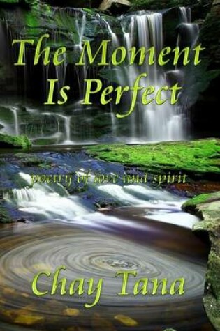 Cover of The Moment Is Perfect