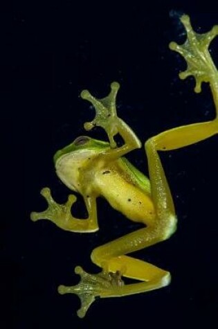 Cover of Green Tree Frog on a Window Journal