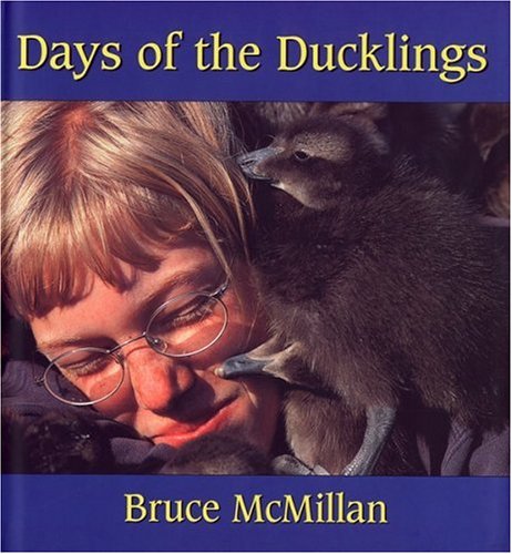 Book cover for Days of the Ducklings