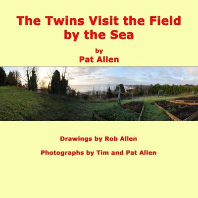 Book cover for The Twins Visit The Field By The Sea