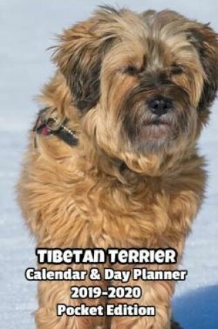 Cover of Tibetan Terrier Calendar & Day Planner 2019-2020 Pocket Edition