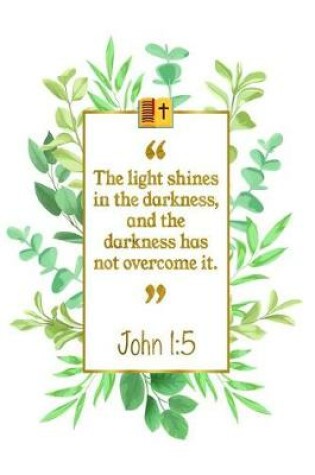 Cover of The Light Shines in the Darkness, and the Darkness Has Not Overcome It