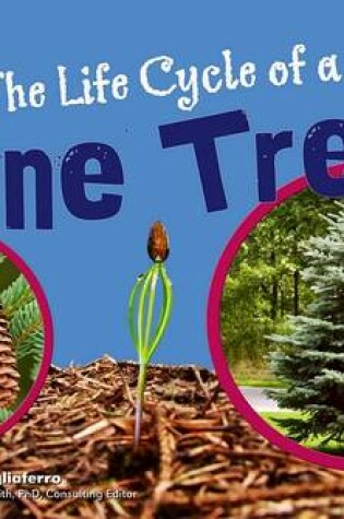 Cover of The Life Cycle of a Pine Tree