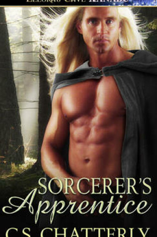 Cover of Sorcerer's Apprentice