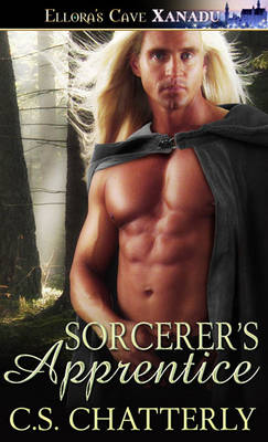 Book cover for Sorcerer's Apprentice