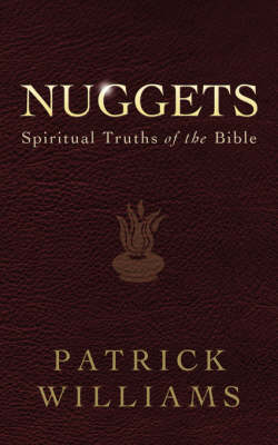 Book cover for Nuggets