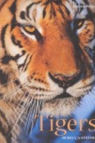 Cover of Tigers