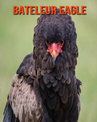 Book cover for Bateleur Eagle