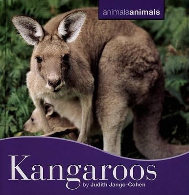 Book cover for Kangaroos