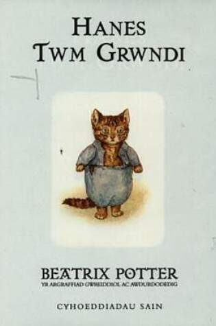 Cover of Llyfrau Gwreiddiol Guto Gwningen:3. Hanes Twm Grwndi