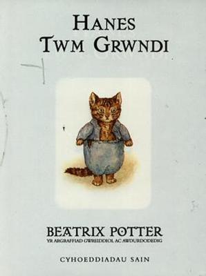 Book cover for Llyfrau Gwreiddiol Guto Gwningen:3. Hanes Twm Grwndi