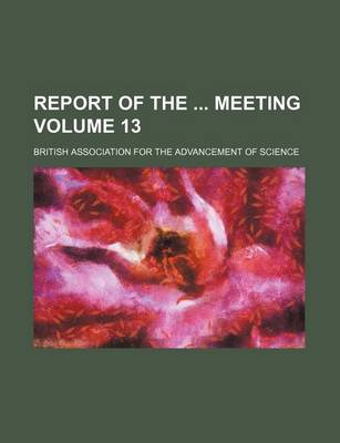 Book cover for Report of the Meeting Volume 13