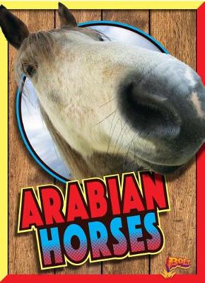 Cover of Arabian Horses