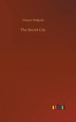 Book cover for The Secret City