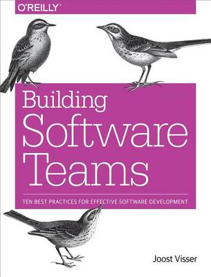 Book cover for Building Software Teams