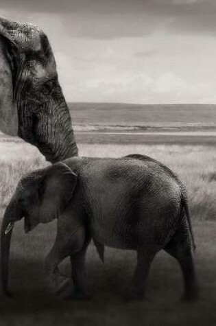 Cover of Elephants Notebook