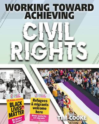 Book cover for Working Toward Achieving Civil Rights
