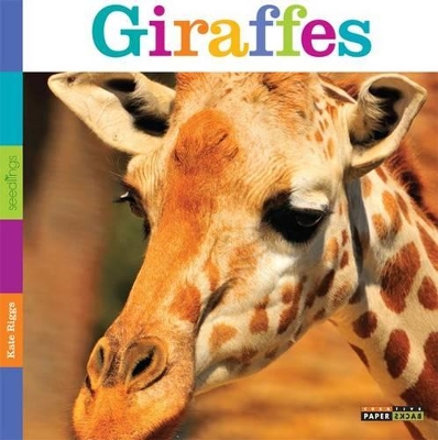 Cover of Giraffes