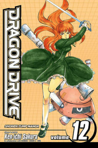 Cover of Dragon Drive, Volume 12