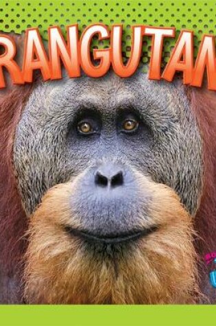 Cover of Orangutans