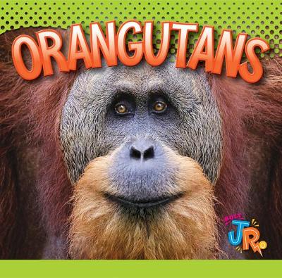 Cover of Orangutans