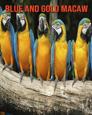 Book cover for Blue and Gold Macaw