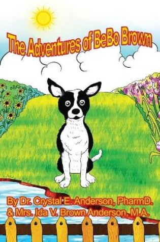 Cover of The Adventures of Bebo