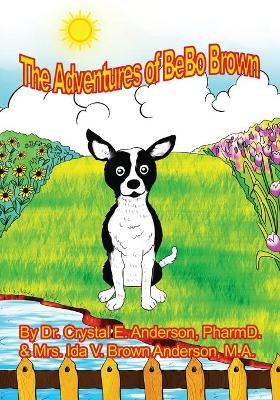 Book cover for The Adventures of Bebo