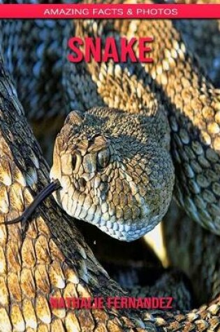 Cover of Snake