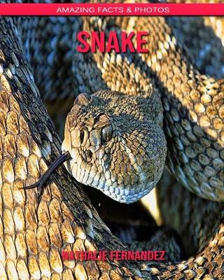 Book cover for Snake