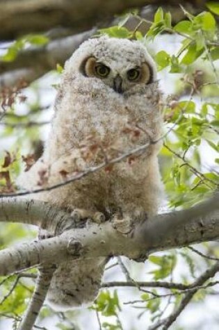 Cover of Cute Fluffy Great Horned Owl Chick Baby Bird Journal