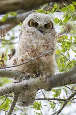 Book cover for Cute Fluffy Great Horned Owl Chick Baby Bird Journal