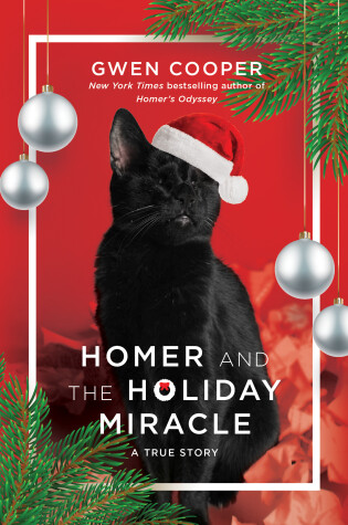 Cover of Homer and the Holiday Miracle