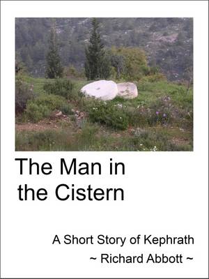 Cover of The Man in the Cistern