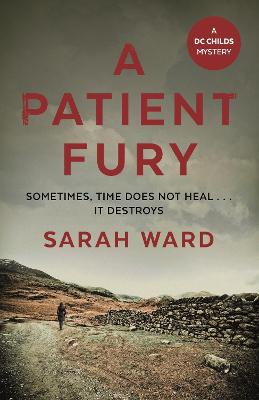 Book cover for A Patient Fury