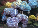 Book cover for Blue Garden Notecard Portfolio