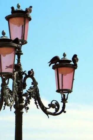 Cover of Beautiful Street Lamp in Venice, Italy