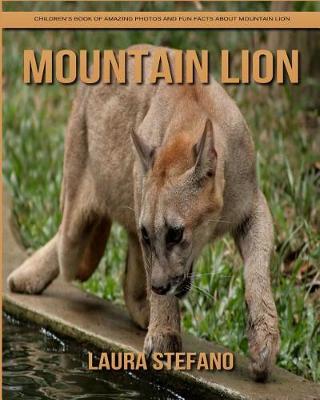 Book cover for Mountain Lion