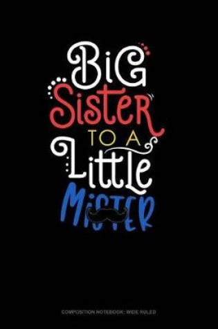 Cover of Big Sister to a Little MR