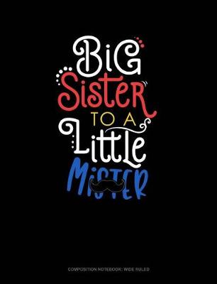 Cover of Big Sister to a Little MR