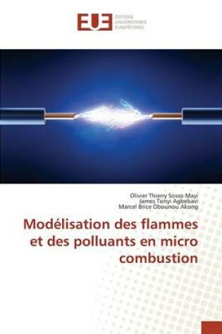 Cover of Modelisation Des Flammes Et Des Polluants En Micro Combustion