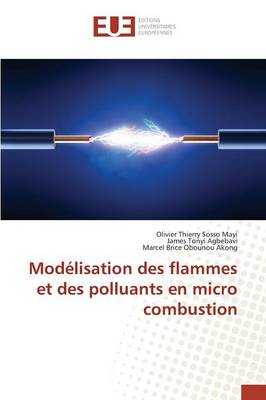 Book cover for Modelisation Des Flammes Et Des Polluants En Micro Combustion