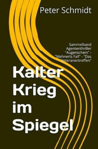 Cover of Kalter Krieg Im Spiegel