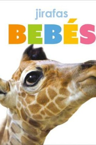 Cover of Jirafas Bebés