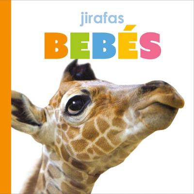 Book cover for Jirafas Bebés