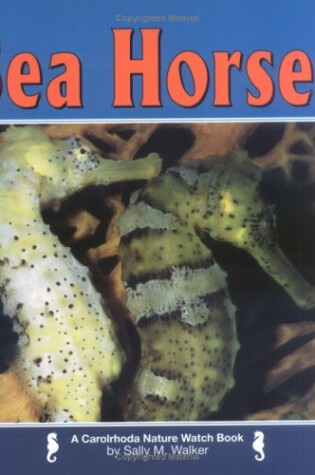 Cover of Sea Horses