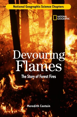 Cover of Devouring Flames