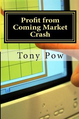 Book cover for Profit from Coming Market Crash